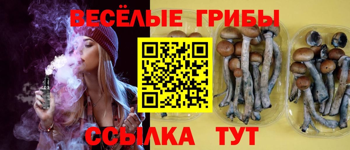 Псилоцибиновые грибы ЛСД  Вход с VPN  Медногорск 
